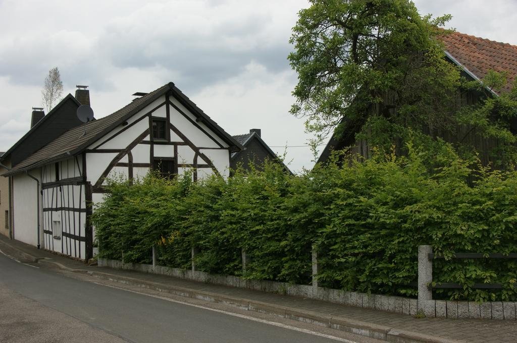Authentiek Eifelhuis Hecken Quarto foto